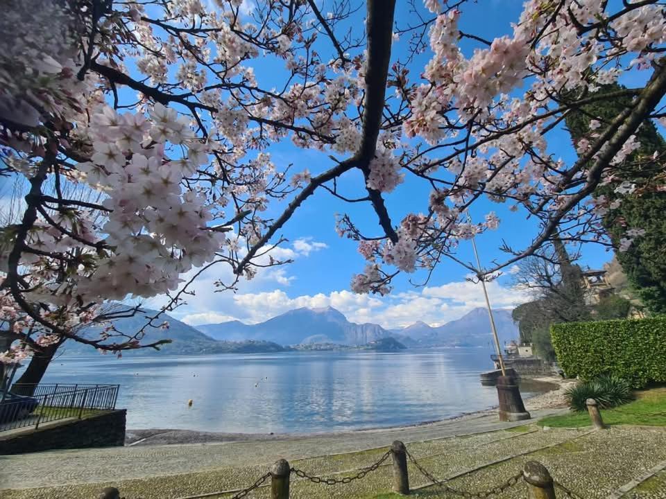Laura'S Cottage With Lake View, Detached, 5 Kilometers From Varenna Lierna Exteriör bild